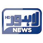 Lahore News HD Net Worth