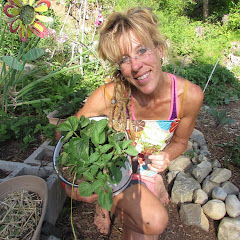 Starry Sustainable Living With God Avatar