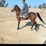 C1a_CMjDkT0-channel-avatar-خيالة الصعيد