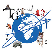 TG of the Animals