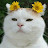 @루프1025