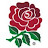 RFU Club Support