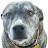 @Texasmarshall24 Avatar