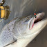 DcAexU7QZR8-channel-avatar-FishingWales