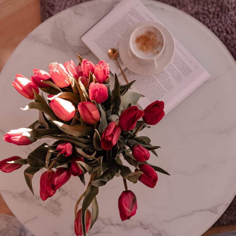 Lifestyle and Beauty