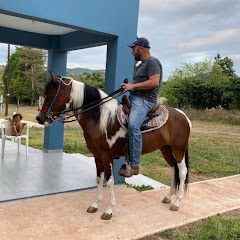 El Caballo y El Caballista Avatar