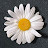 @user-ow7ct6vy9n