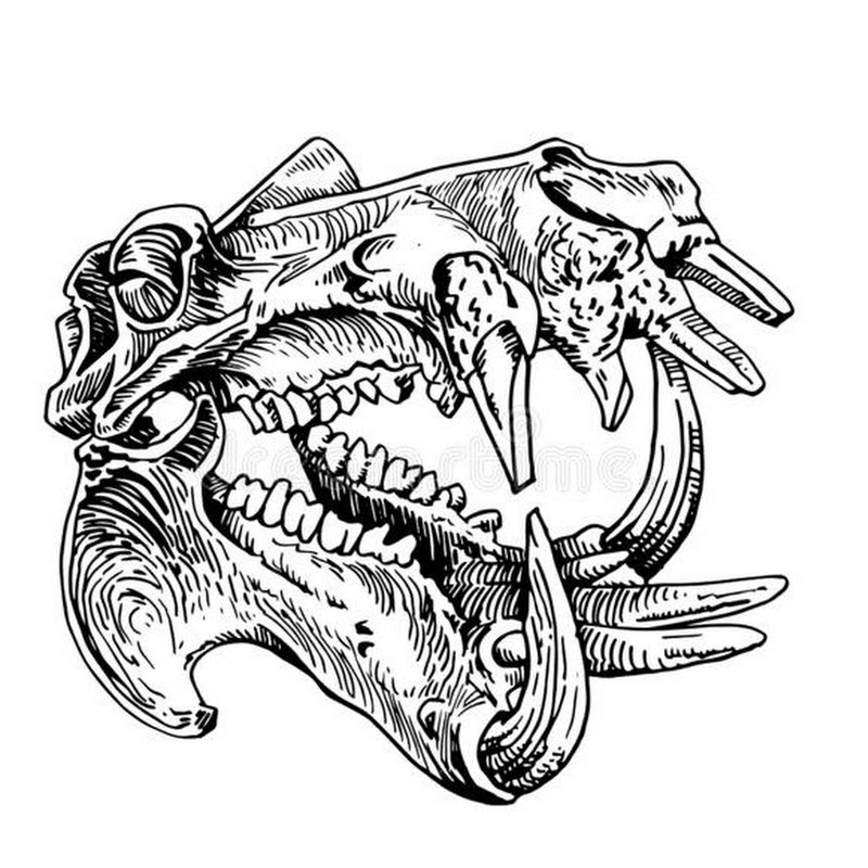 LostMoto