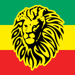 ROTOTOM SUNSPLASH Avatar