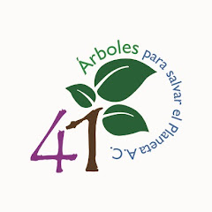 41 Árboles Para Salvar El Planeta, A.C.