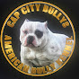 CapCity Bullys logo