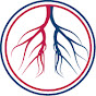 American Endovascular logo