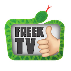 FreekTV net worth