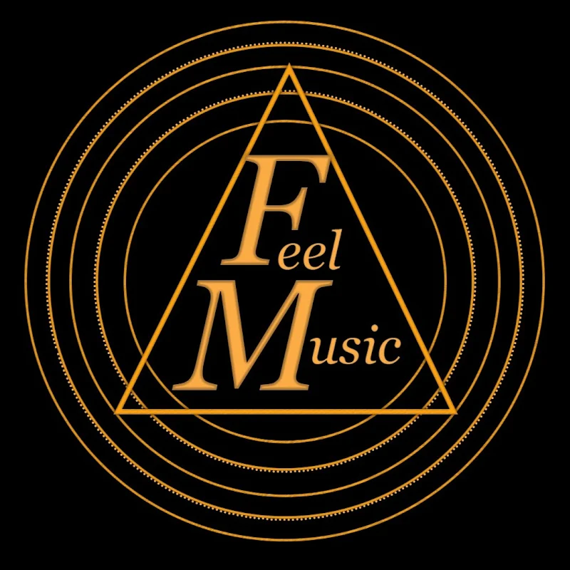 FM FEEL music