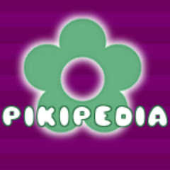Pikipedia net worth