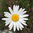 @user-ix8vx7hd4j
