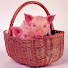 SObQe7eqN-U-channel-avatar-PIGGIE58