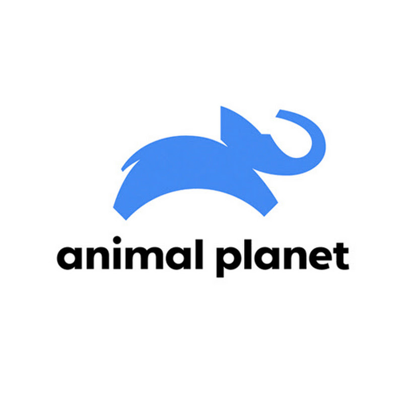アニマルプラネットのサムネイル