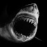 1O1gh-88n9Q-channel-avatar-Shark Nado Crossout