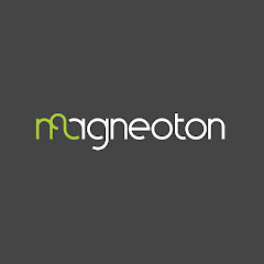 Magneoton net worth