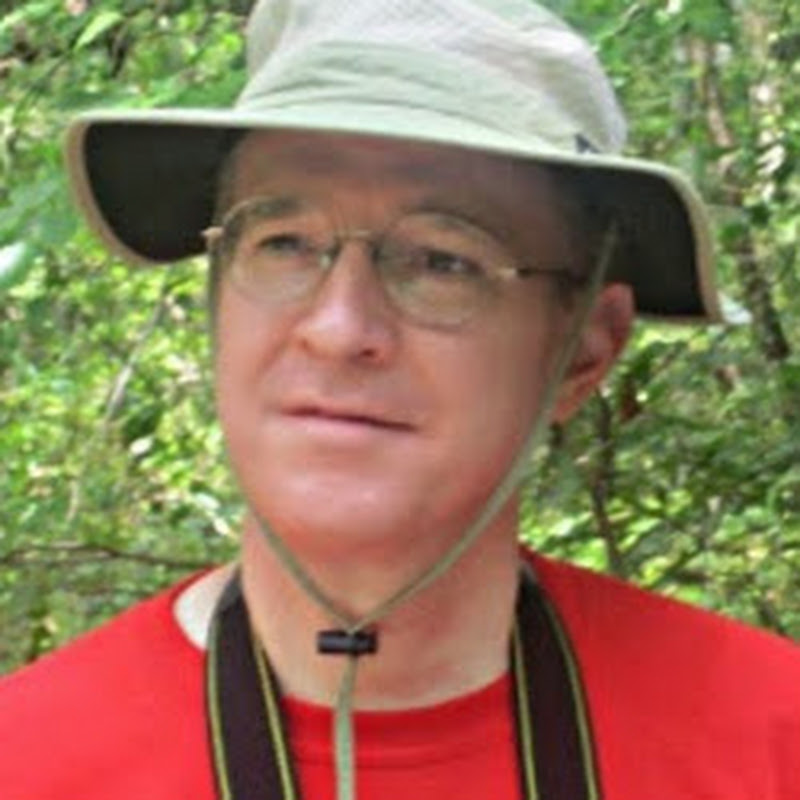 Bryan BryanT icon