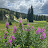 @Paulgeorgiyev Avatar