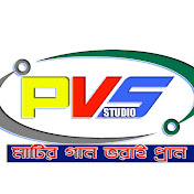 PVS STUDIO