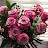 @onelittletouch6184