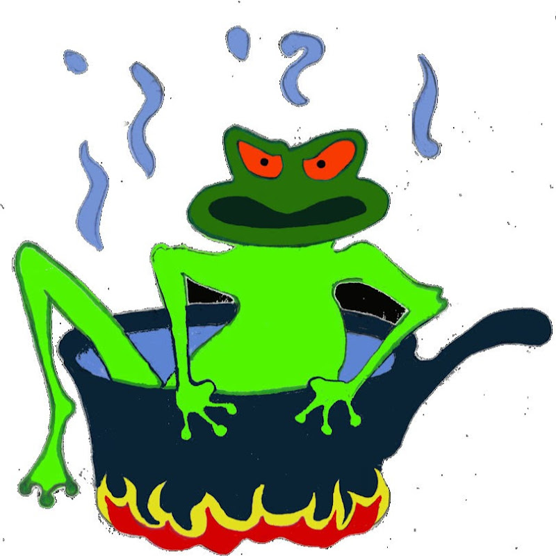 Seething Frog icon