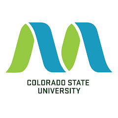 Translational Medicine Institute
