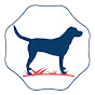 Antibiotics For Dogs logo