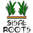 Banda Sisal Roots