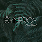 the Synergy Music Channel logo