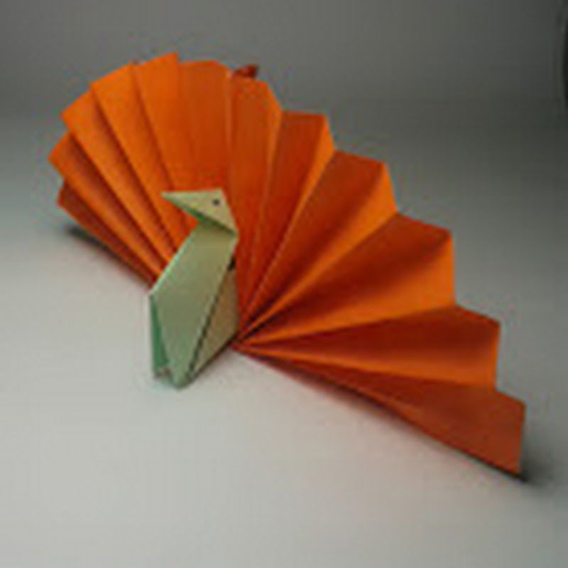Dr.Origami