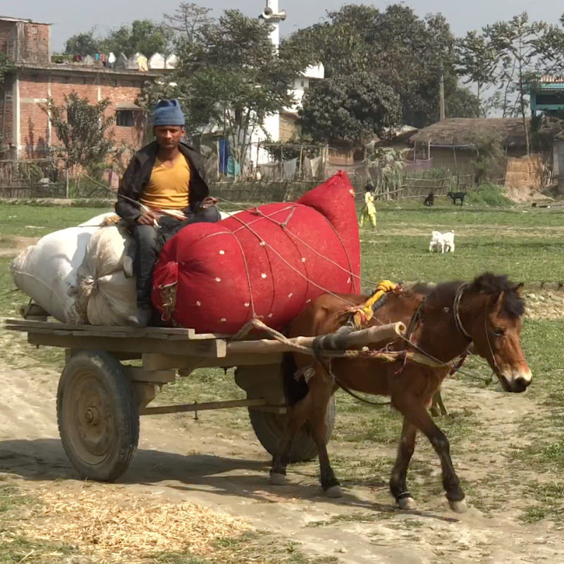 RURAL NEPAL LIFE