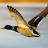@கதம்பம்காணொளிகள்