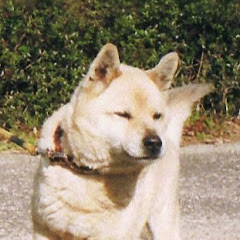 Taro Cannedアイコン画像