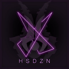 HS DZN channel logo