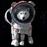 uFoe3k9gtbA-channel-avatar-M8nDo9