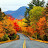 @daveyineluctable5525 Avatar