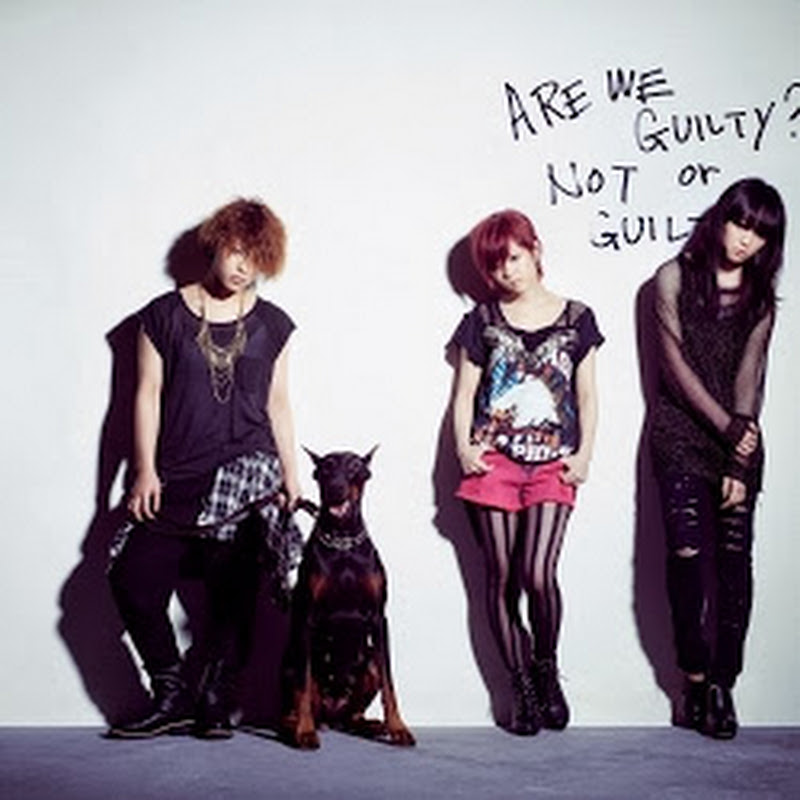 STEREOPONYVEVOのサムネイル