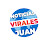 NOTICIAS VIRALES JUAN