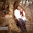 @briantate8176 Avatar