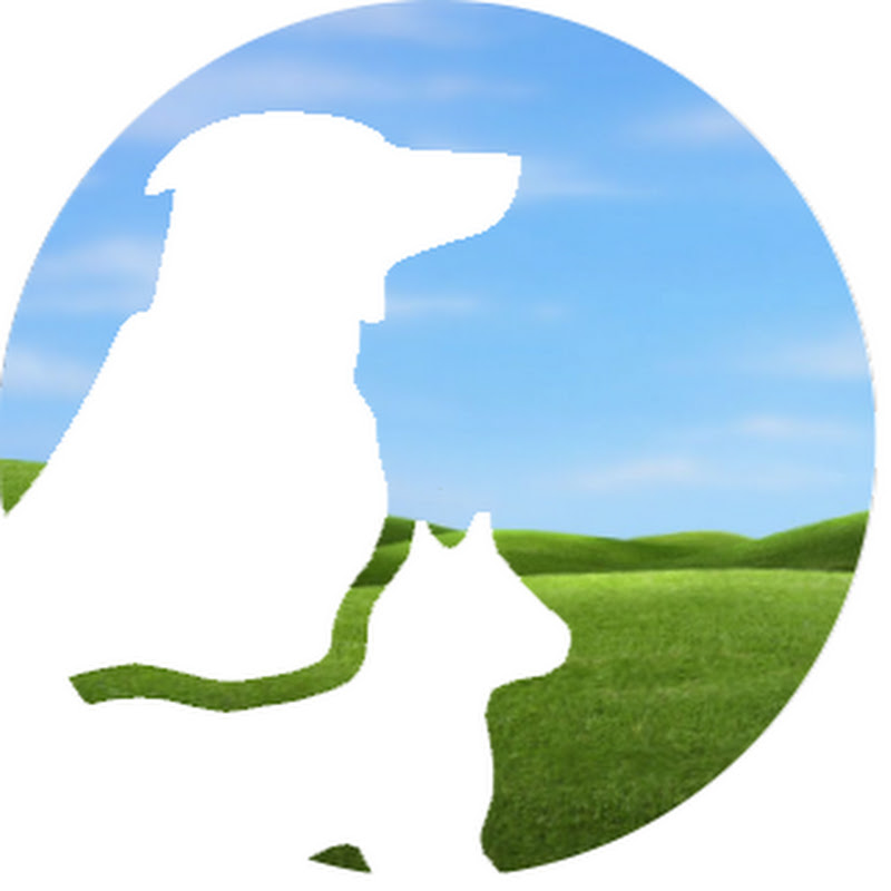 Vitality Science (Vitality Science) icon