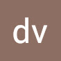 dv SR logo