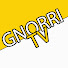 DxWEMBznWYw-channel-avatar-GnorriTV