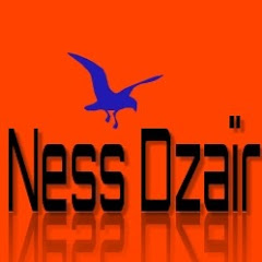 Логотип каналу Ness Dzaïr