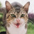 @snips7653's avatar