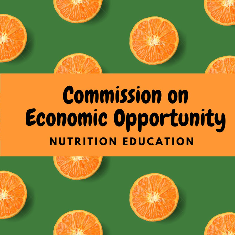 CEO Nutrition Education