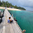 @dedymanapharahap7897